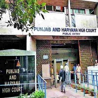 punjab and haryana high court recognises 16 years olid nuslim lady marriage
