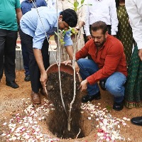 bollywood hero salman khan participated in green india challenge in ramoji film city