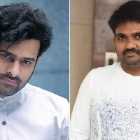 Don't believe any rumours about my movie with Prabhas: Director Maruthi