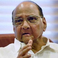 Received Love Letter says Sharad Pawar after receiving IT notices