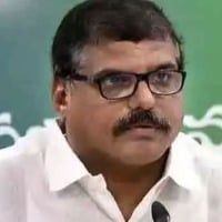 Minister Botsa Satyanarayana Sensational comments