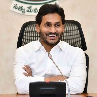 YSRCP plenary to be mega affair, about 4 lakh to attend: Party MP