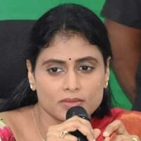 Congress and TRS neglected YSR says Sharmila