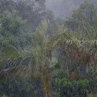 Heavy to Very Heavy Rainfall Warning during 5 days for Telangana State