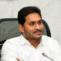 Jagan elected as YSRCP lifetime president