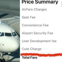 Indigo Airlines charges ‘cute fee’ from passengers, air ticket picture goes viral