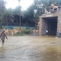 Safari Park at Hyderabad Zoo flooded