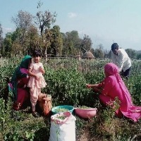 TN: Dharmapuri farmers get online tips on improving skill sets