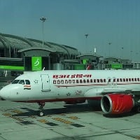 Bird spotted in Air India plane in midair 