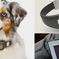 Three Bengaluru students design a smart watch for pets