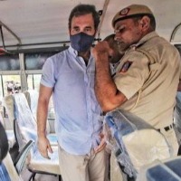 Police arrests Rahul Gandhi