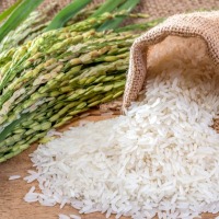 Rice prices increase up to 30 percent due to demand from West Asia Dhaka 
