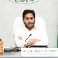 ap cm ys jagan will meet party cadre from tomorrow