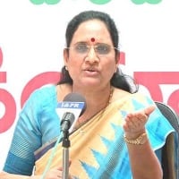 Bring facts to light in MP Gorantla Madhav’s nude call, AP Mahila panel chief to DGP