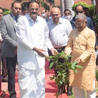 vice president venkaiah naidu plants Sita Ashoka sappling in parliament premises
