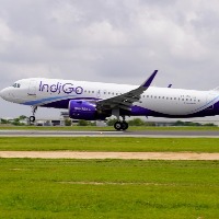 Indigo flight delayed over 'suspicious message' on passenger's phone