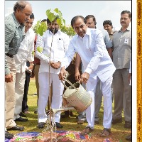 ఈ నెల 21న రాష్ట్ర వ్యాప్తంగా హరితహారం కార్యక్రమం.. ప్రభుత్వం విస్తృత ఏర్పాట్లు