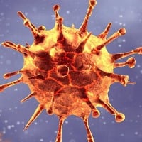 Corona virus spreading declines un Telangana