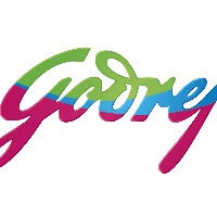 Godrej Material Handling strengthens its product portfolio in Telangana; aims 30% revenue in the region
