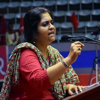 supreme court grants interim bail to Activist Teesta Setalvad