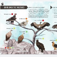 Forest Department released poster on the occasion of International Vulture Awareness Day