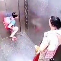  Woman fined Rs 5000 after pet dog bites child in lift