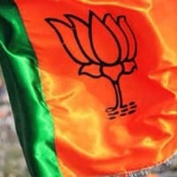 BJP appoints party in charges to states and UTs