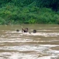 Woman cross river by swim to attend exam in Vizag