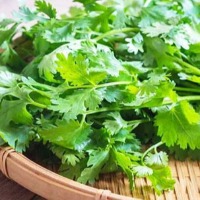 coriander now very costly in warangal 