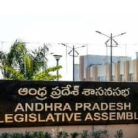 tdp mlas suspended for one day from ap assembly