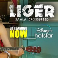 Liger on Disney plus Hotstar Watch  Cheer and Dance
