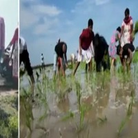 Baptla, Prakasam dist Collectors had a field day with their kids and farm workers