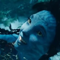 James Camerons Avatar re release garners Rs 244 crore at global box office