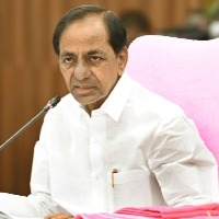 CM KCR wishes on dusera