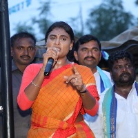 Sharmila demands to arrest who vandalized YSR statue in Khammam district
