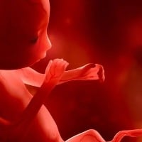 Toxic air pollutants found in lungs brains of unborn babies