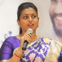 Why Pawan Kalyan silent over north Andhra people migration in TDP rule: Roja
