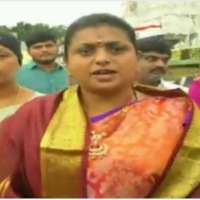 Minister Roja opines on capital issue 
