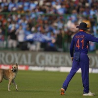 team india player Shreyas Iyer sent a street dog with his signal from stadium