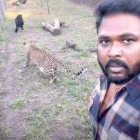 Indian origin doctor concerns over his pet Jaguars in Ukraine