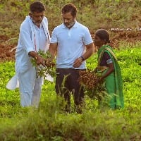 rahul gandhi interact ground nut farmers in karnataka