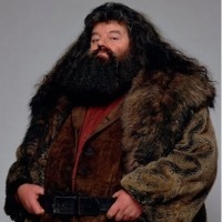 Harry Potter's 'Hagrid' Robbie Coltrane passes away at 72