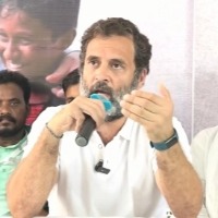 New Congress president will decide my role: Rahul