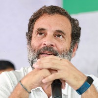 Rahul believes Andhra has lot of room for Congress to grow