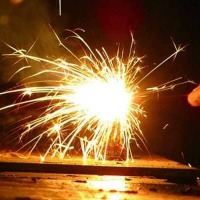 Delhi government bans fire crackers