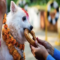 five days celebrations for diwali in nepal