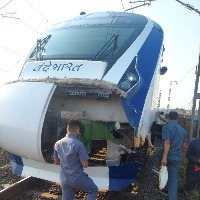Vande Bharat train hits bull this time 