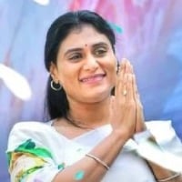 ys sharmila says no differences with his brother ys jagan mohan reddy