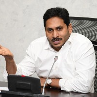 CM Jagan reviews on agriculture