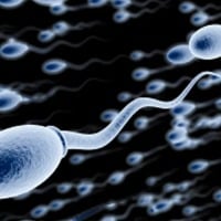 Sperm counts are decreasing study finds What might it mean for fertility